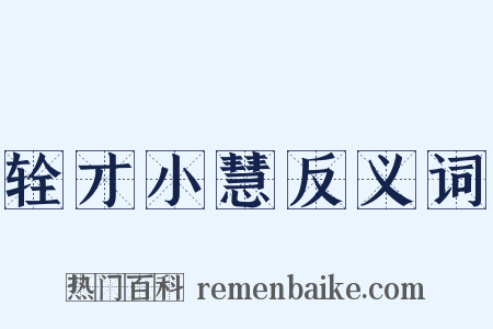 辁才小慧反义词是什么意思的图片